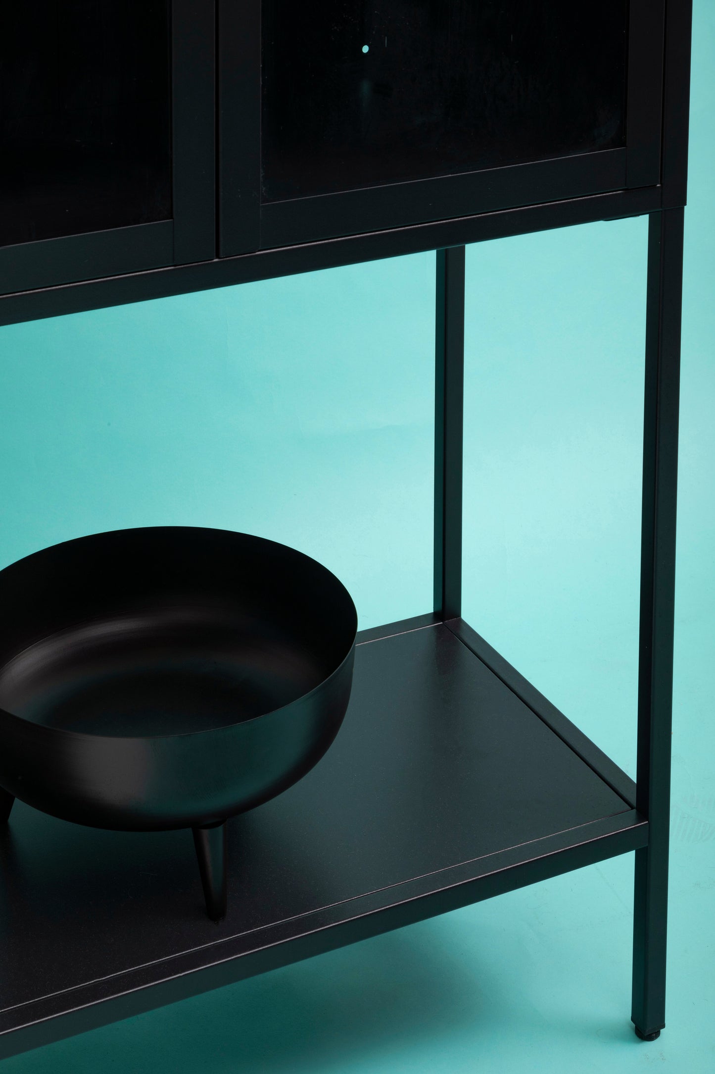 QUEN TWO DOOR BLACK METAL CABINET WITH GLASS DOORS