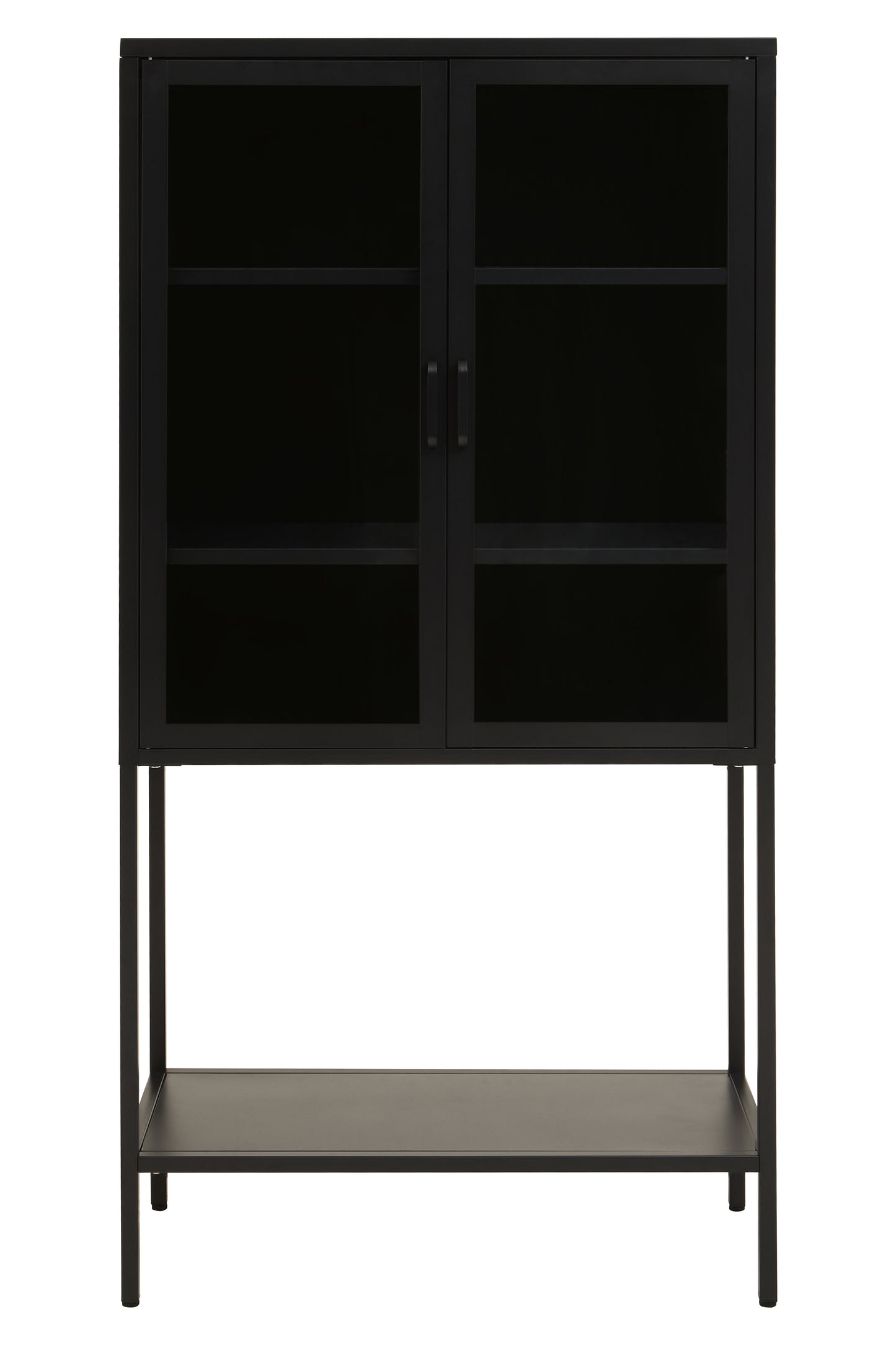 QUEN TWO DOOR BLACK METAL CABINET WITH GLASS DOORS